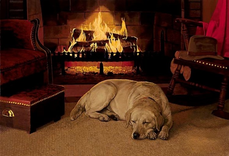 Международный день собак