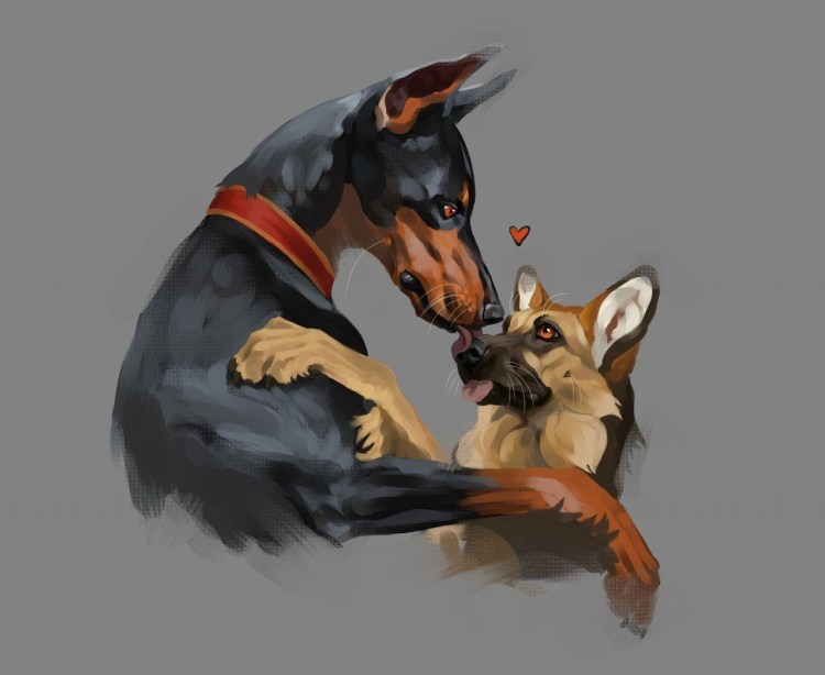 Выгульщик собак/догситтер