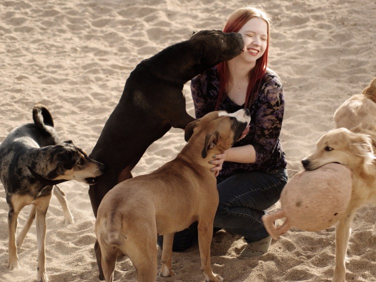 Михаил Тимофеев кинолог