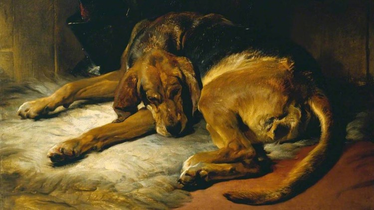 ЛО Цзе Мопс