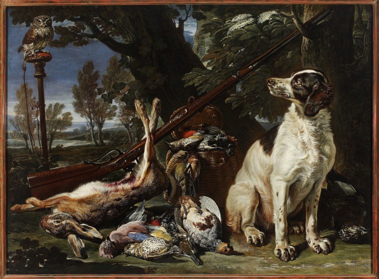 Выброшенные породистые собаки