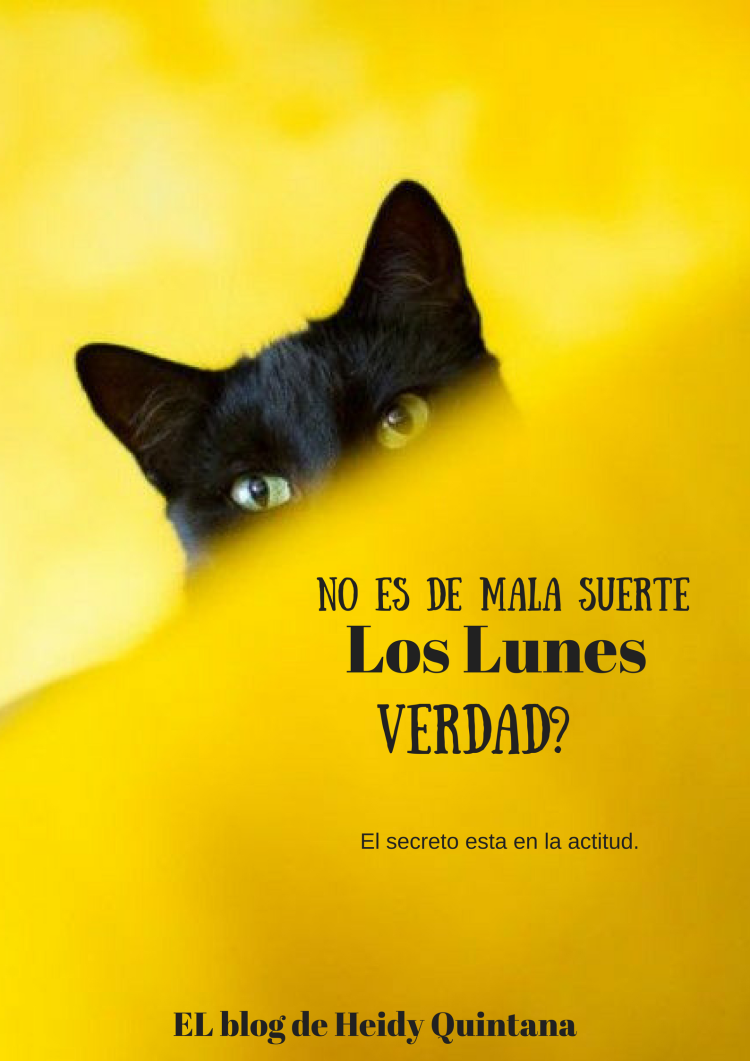 Коты на природе