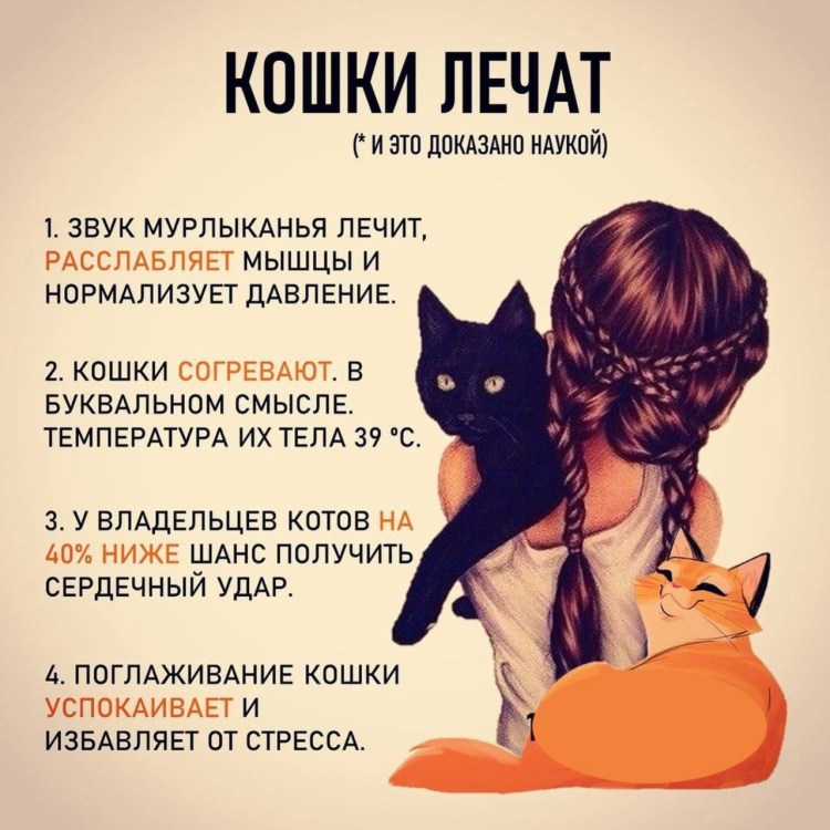Кошка болеет