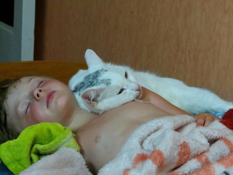 Кот лежит на человеке