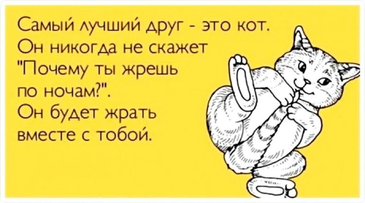 Котик лежит на девушке