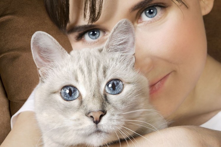 Парень спит с котом