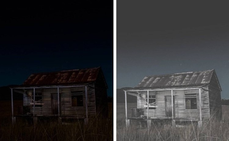 Как видят кошки в темноте