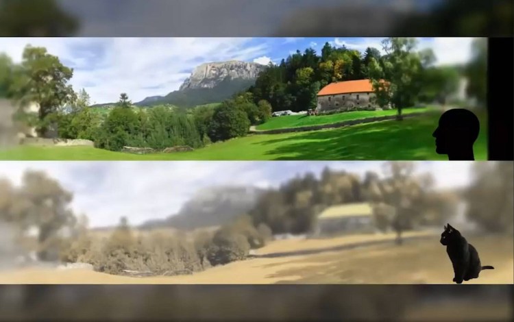 Кошачий глаз