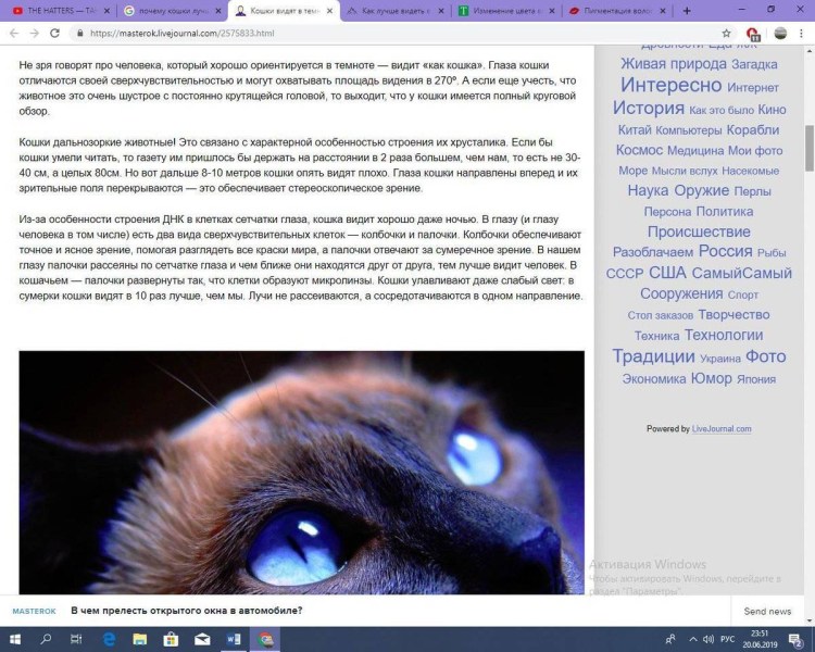 Зрение ночью