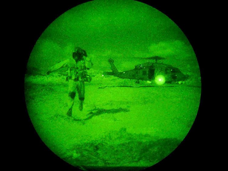 Как видят птицы