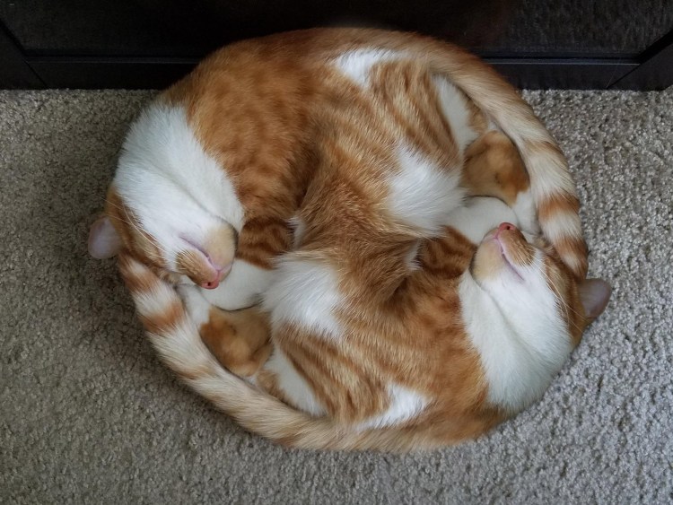 Котик с клубочками