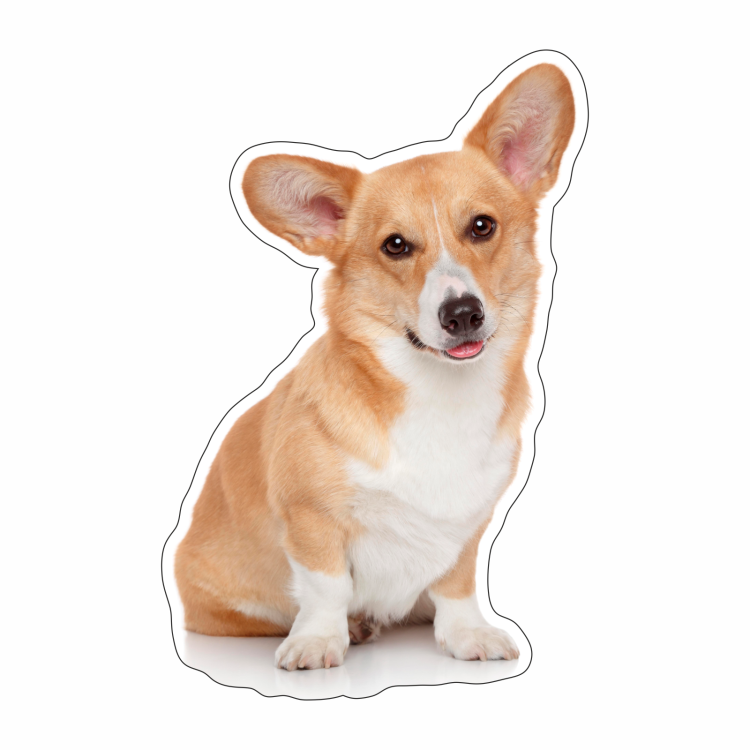 Собака корги