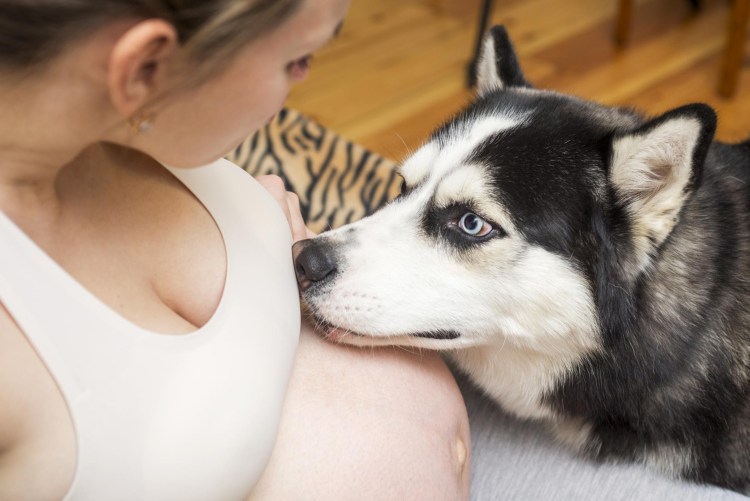 Вскармливание грудью животных