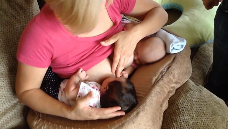 Нарисовать кормящую собаку