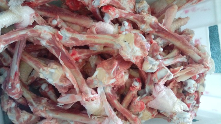 Трубчатые кости индейки