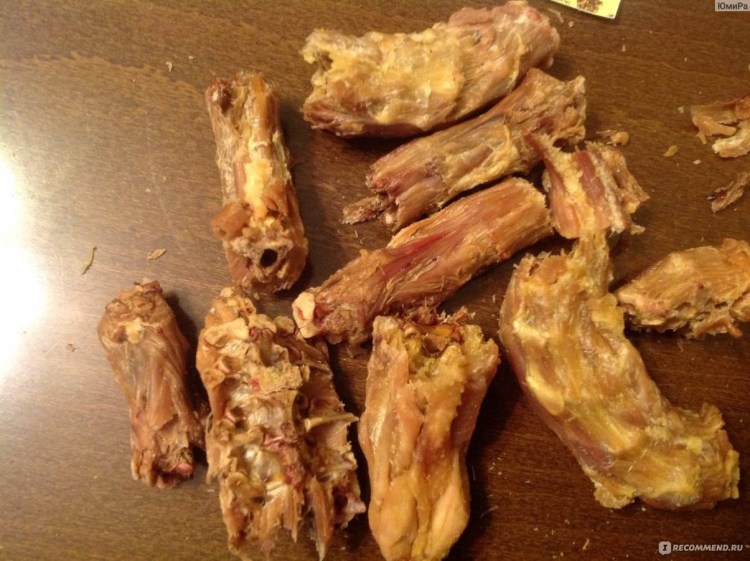 Куриная кость обглоданная