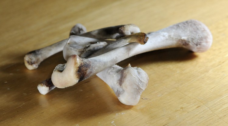 Обглоданная куриная косточка