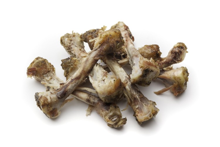 Какие кости можно давать собаке