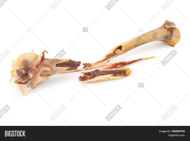 Куриная кость обглоданная