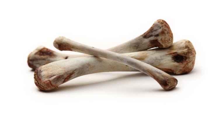 Трубчатые кости индейки