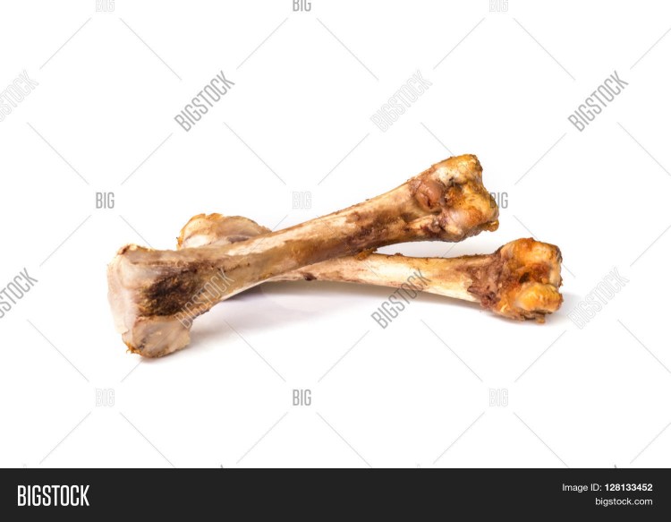 Можно ли собакам куриные кости