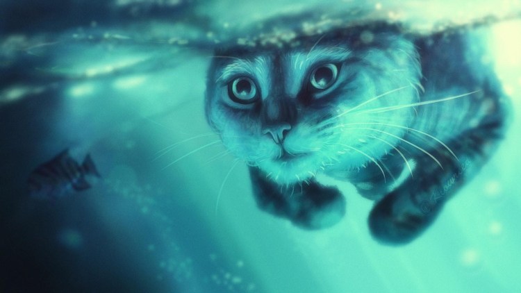 Котёнок под водой