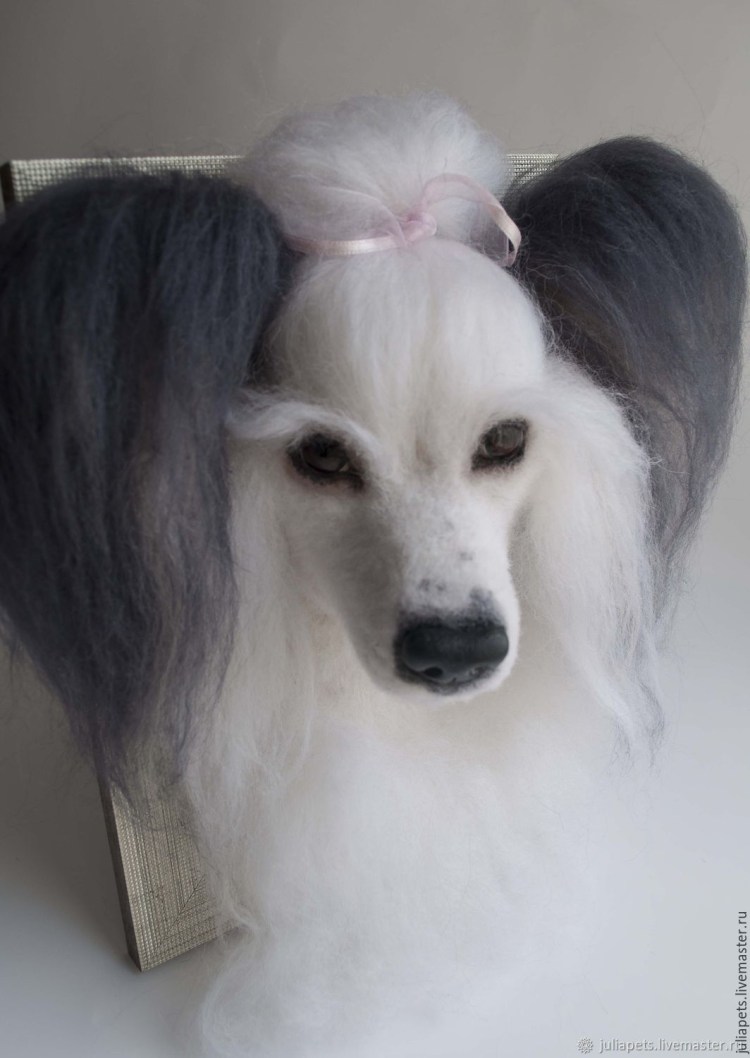 Китайская хохлатая щеночек