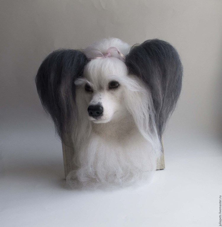 Китайская хохлатая пуховая