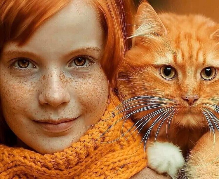 Рыжий пушистый кот лежит