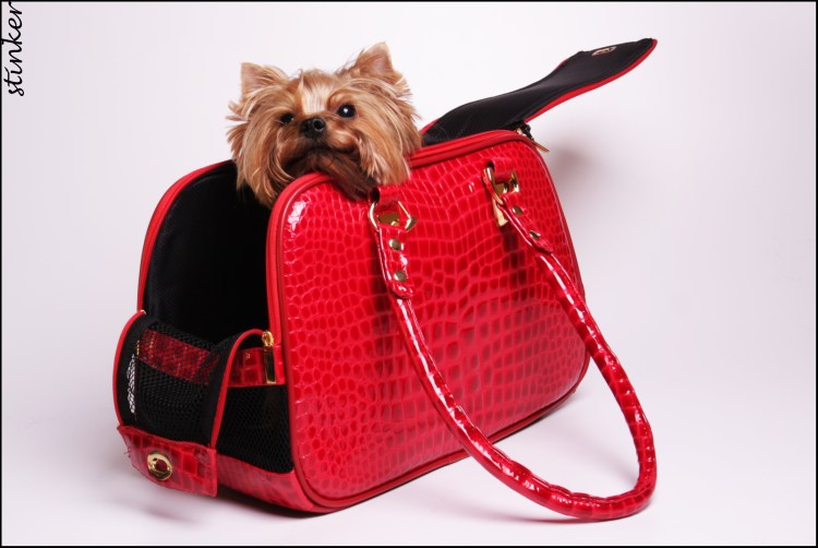 Сумки переноски для йорков