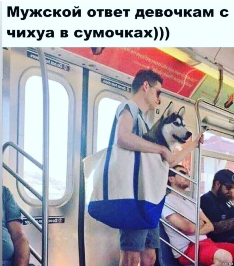 Собака в метро