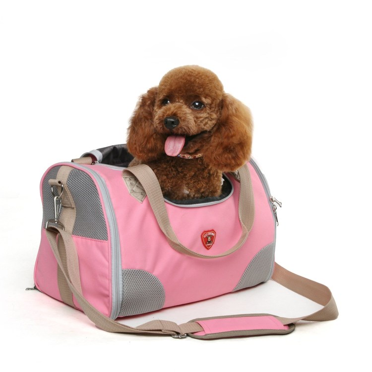 Собачка в сумочке Живая