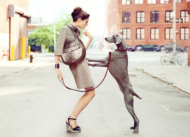 Блондинка со шпицем