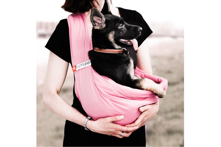 Слинг для собак из шарфа