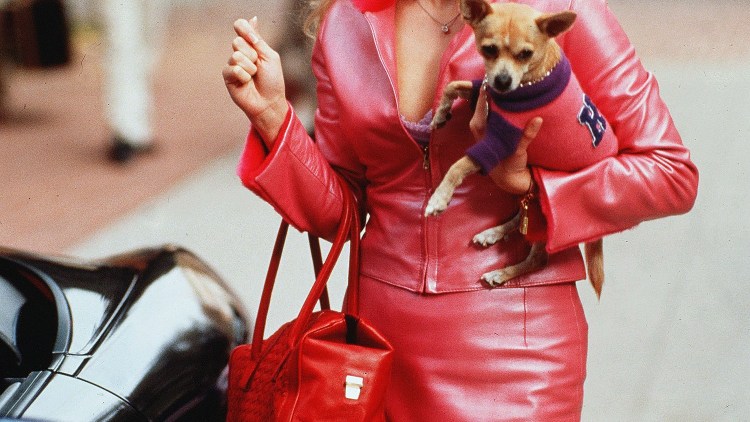 Гламурная блондинка с собачкой