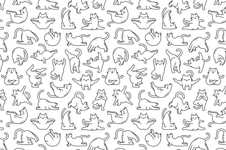 Паттерн кошки
