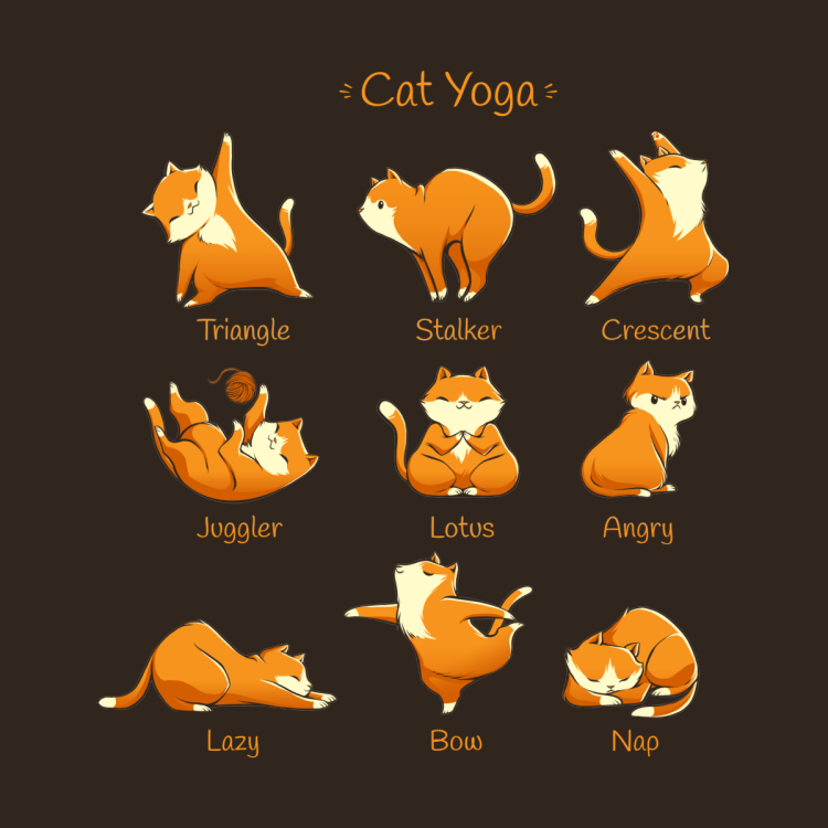 Кот йога рисунок