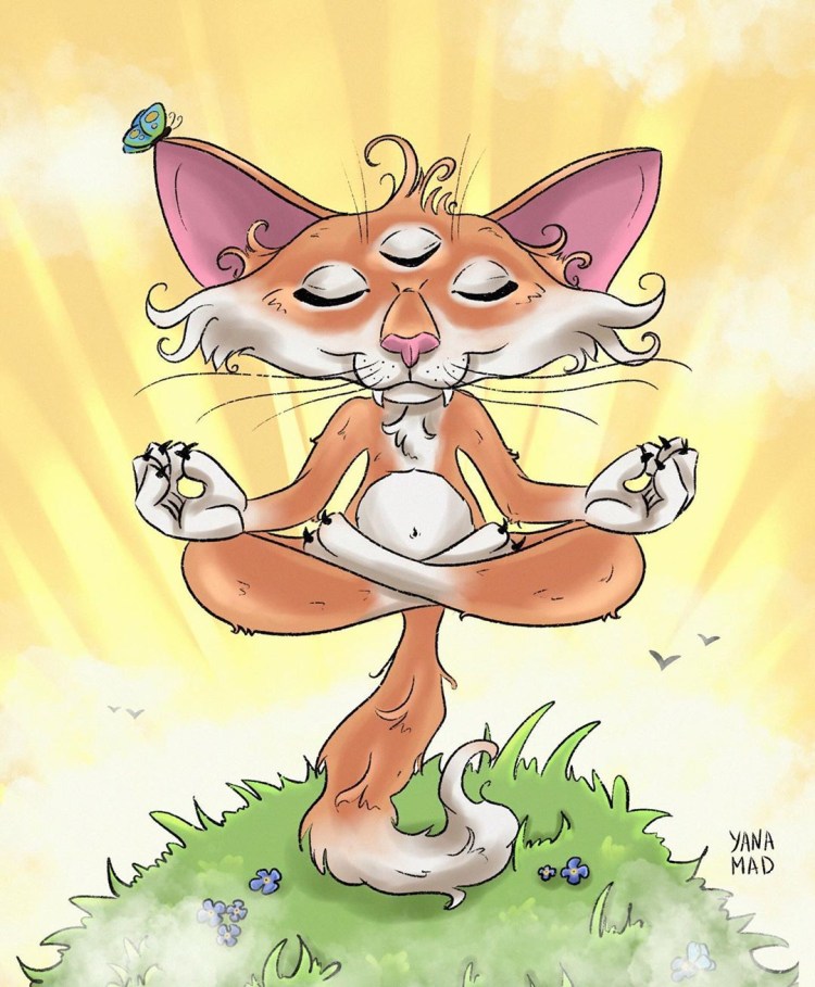 Йога котики