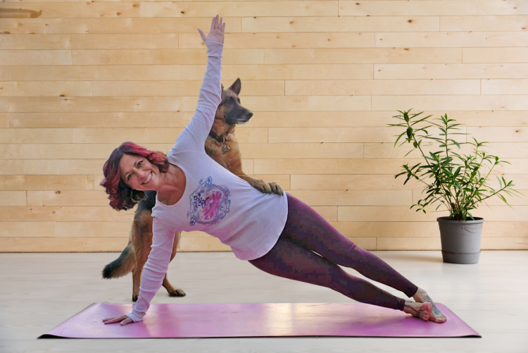 Собака йога