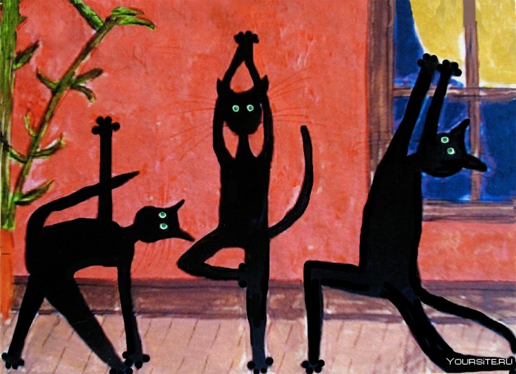 Йога коты иллюстрации