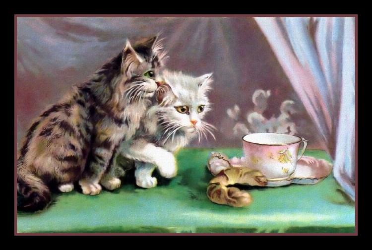 Кошка чаепитие