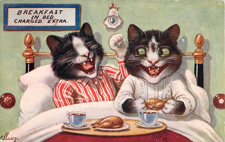 Кот пьет чай