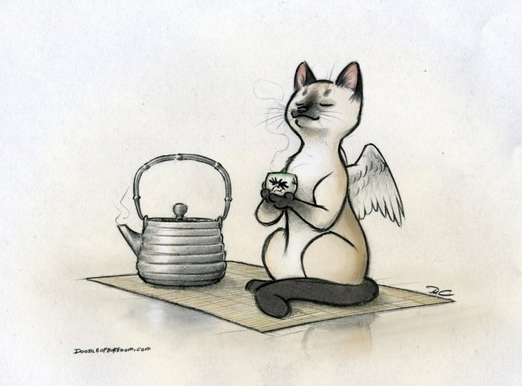 Котики пьют чай