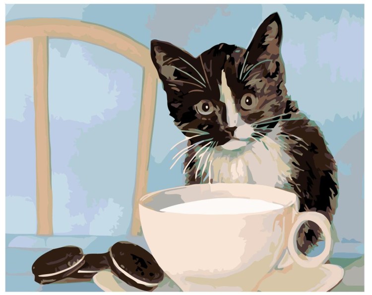 Кот с фашкой