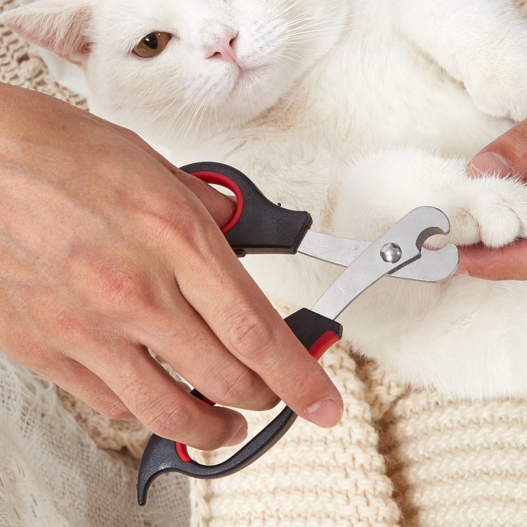 Груминг стрижка когтей