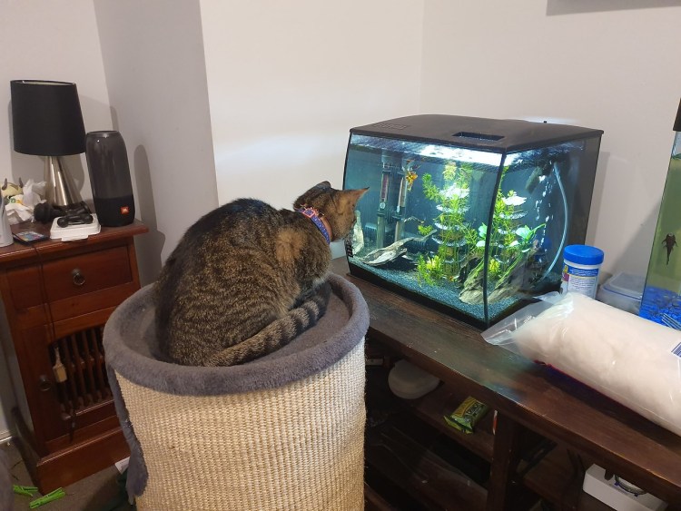 Аквариум для детей