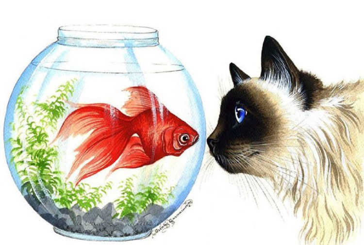 Сферический кот