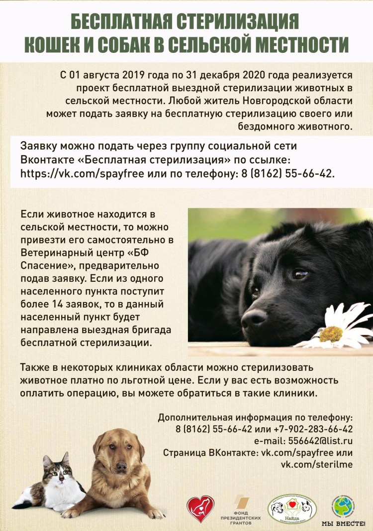 Больница для животных