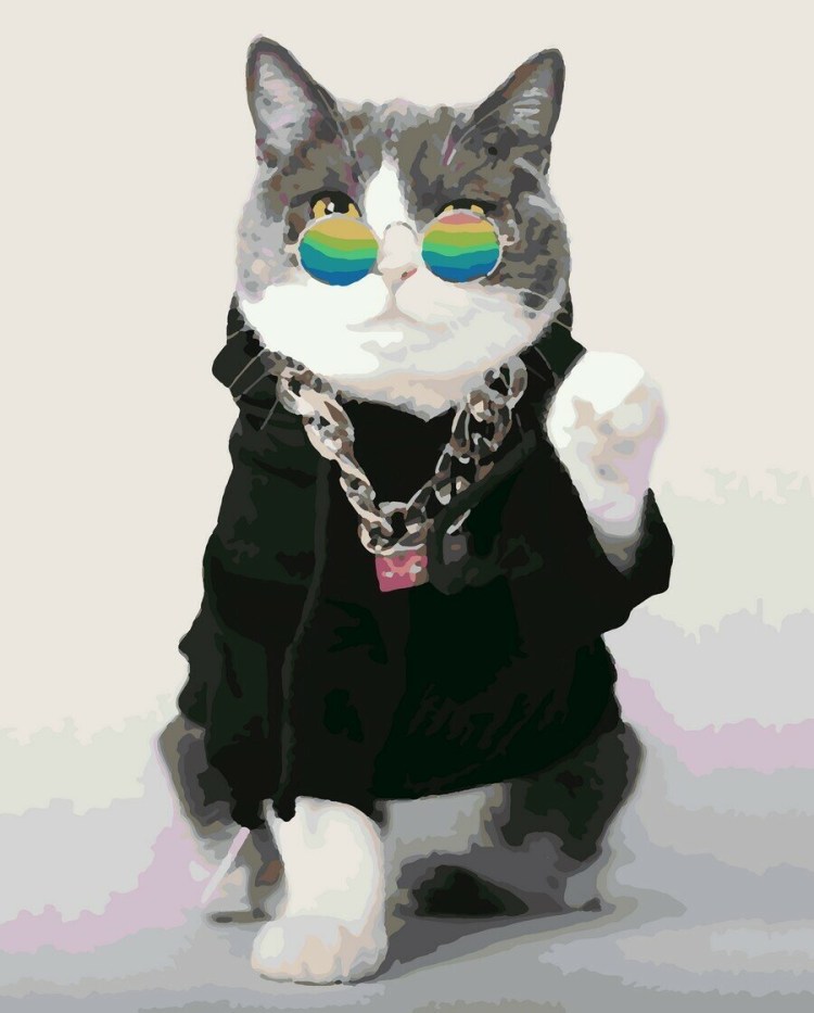 Костюмы для котов