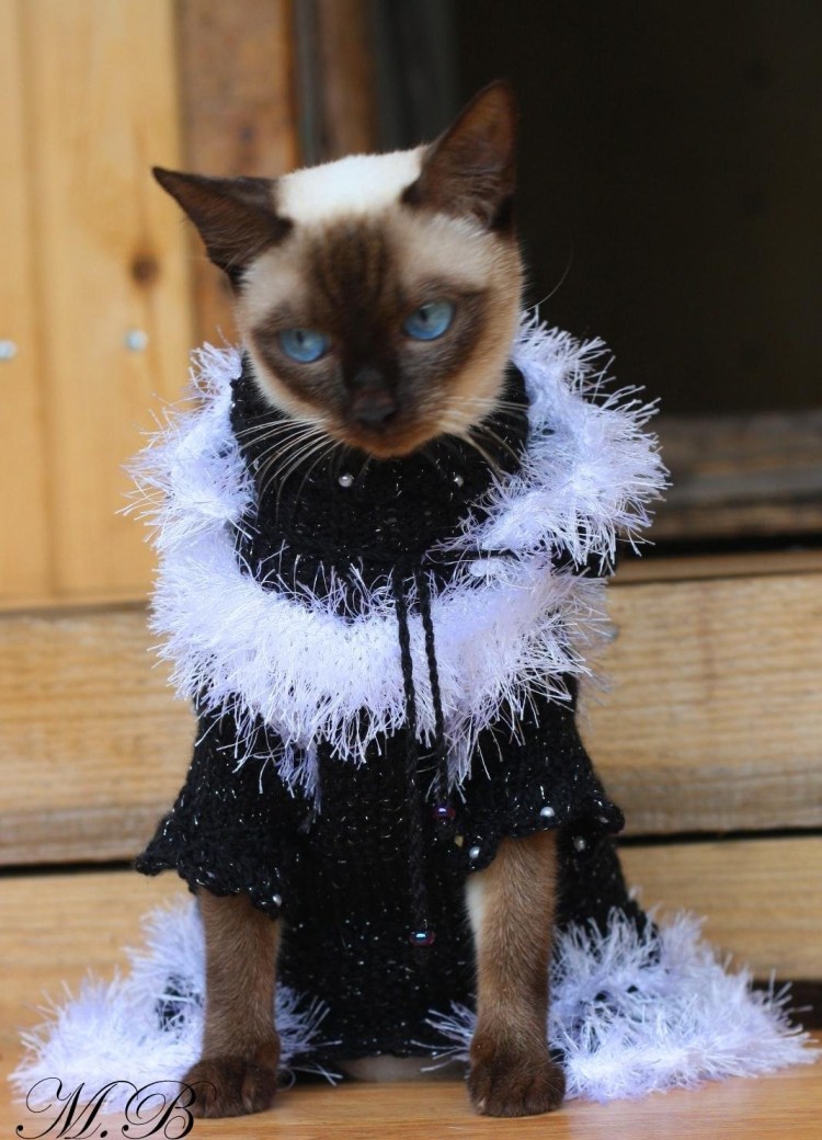 Костюм кошки